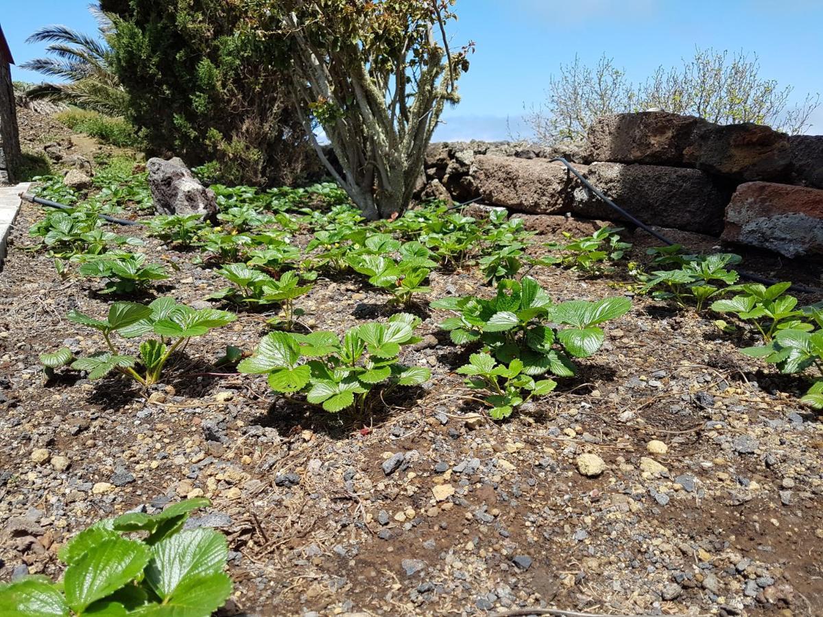 Finca La Sabina Guarazoca Εξωτερικό φωτογραφία